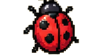 Coccinella