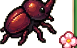 Scarabeo Rinoceronte