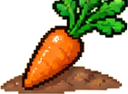 Carota